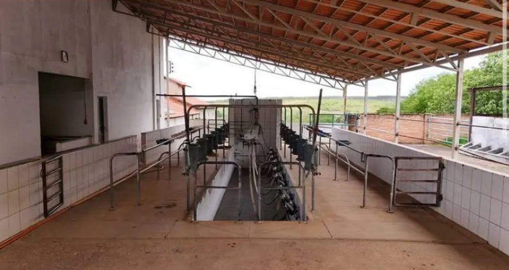 Fazenda, 165 hectares - Foto 3