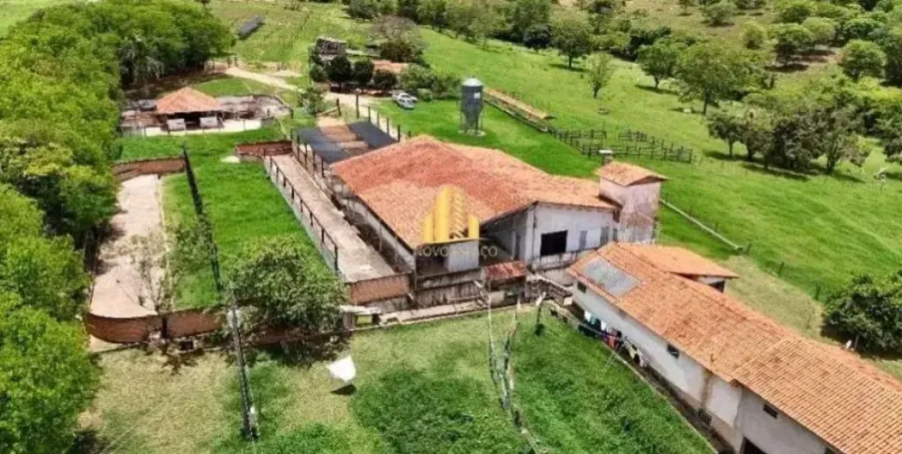 Fazenda, 165 hectares - Foto 4