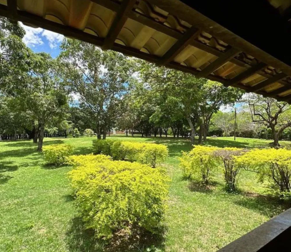 Fazenda, 165 hectares - Foto 7