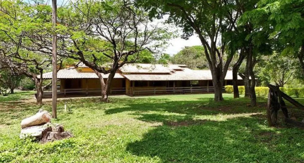 Fazenda, 165 hectares - Foto 3