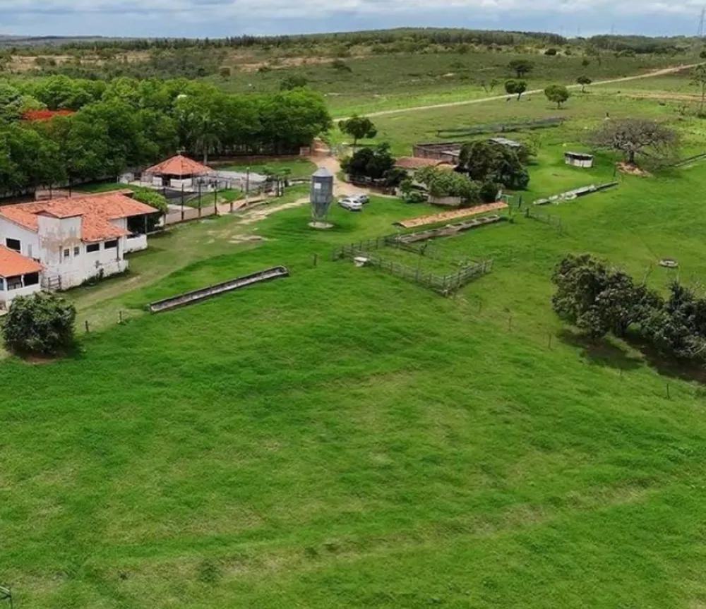 Fazenda, 165 hectares - Foto 2