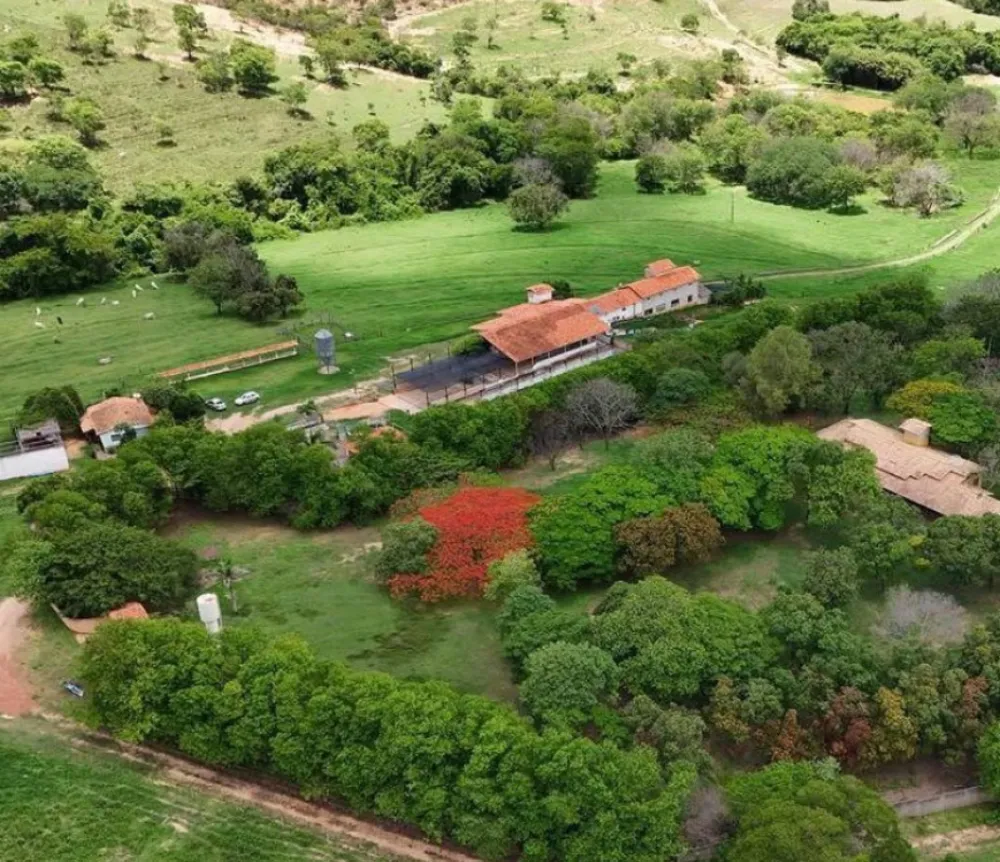 Fazenda, 165 hectares - Foto 1