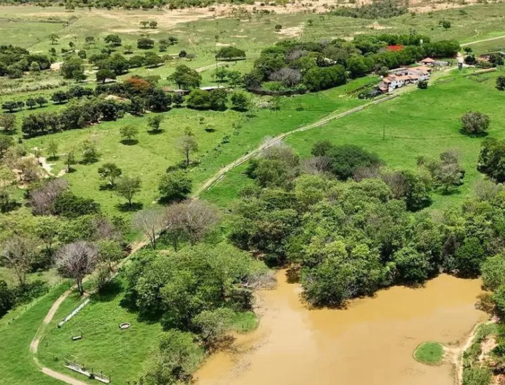 Fazenda, 165 hectares - Foto 6