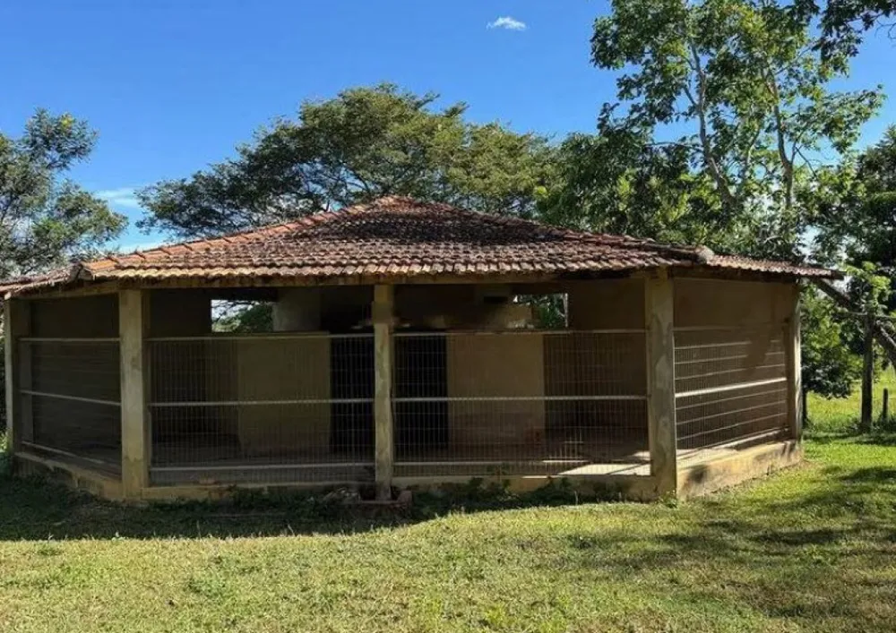 Fazenda, 165 hectares - Foto 2