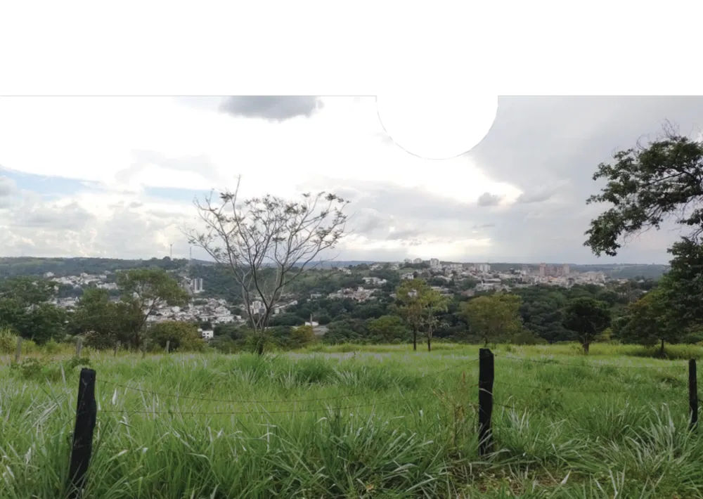 Terreno, 4 hectares - Foto 7
