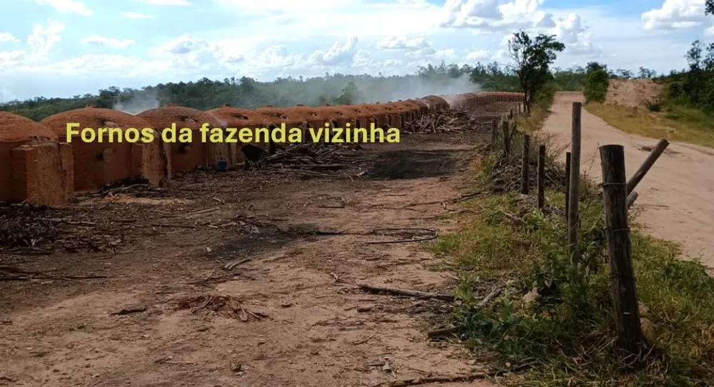 Fazenda, 1000 hectares - Foto 20