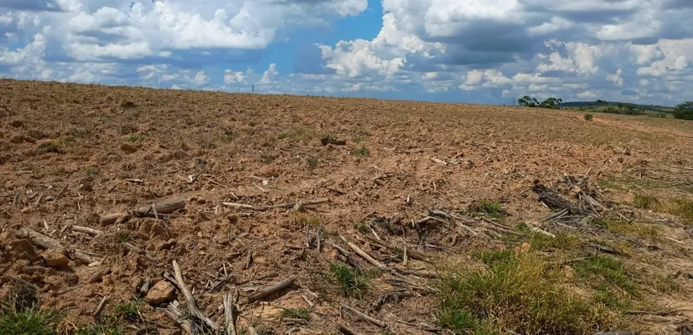 Fazenda, 1000 hectares - Foto 6