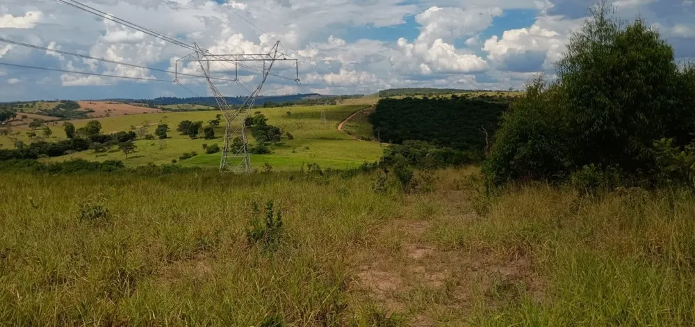 Fazenda, 1000 hectares - Foto 1