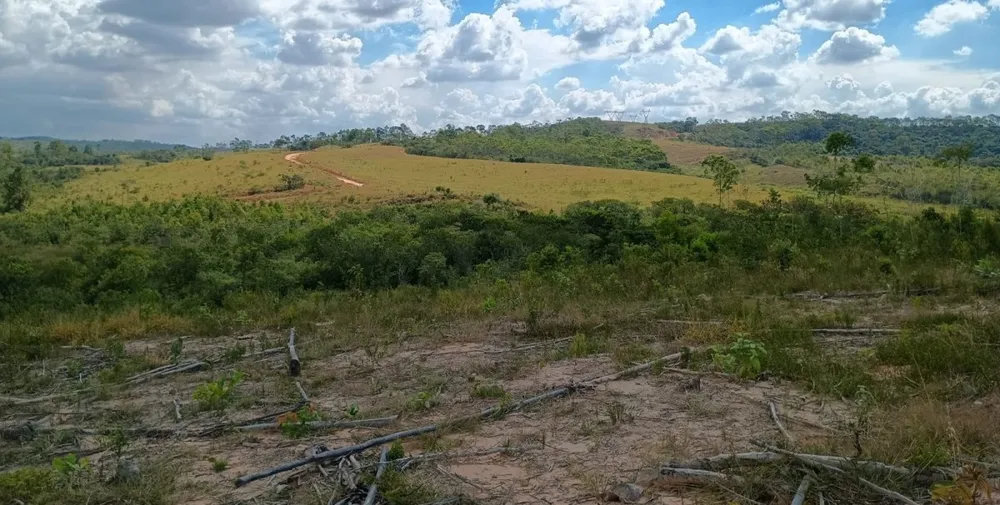 Fazenda, 1000 hectares - Foto 9