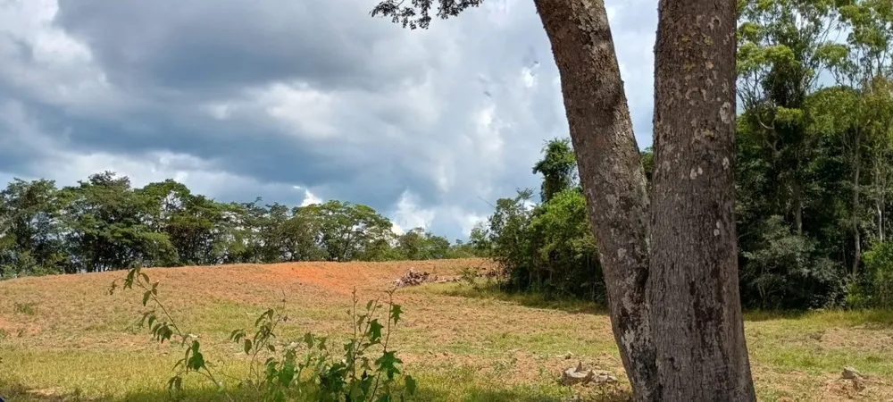 Fazenda, 1000 hectares - Foto 8