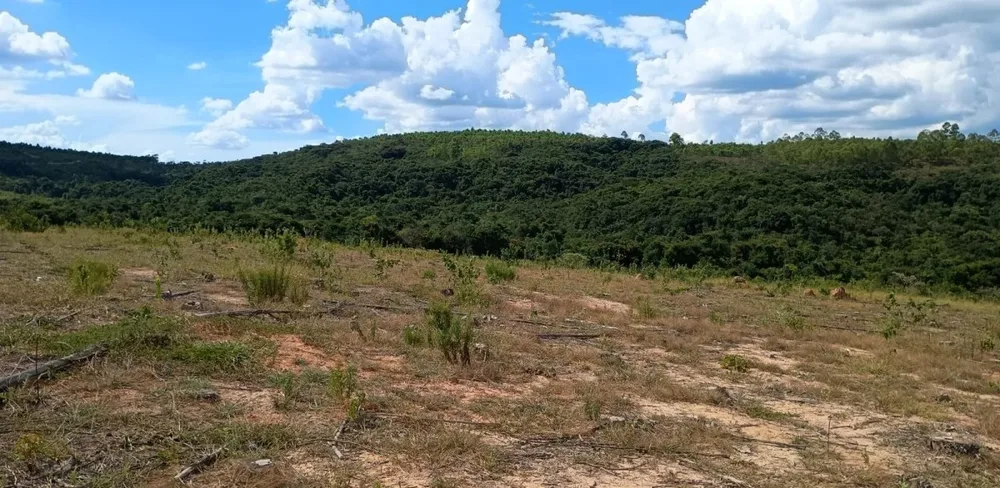 Fazenda, 1000 hectares - Foto 7