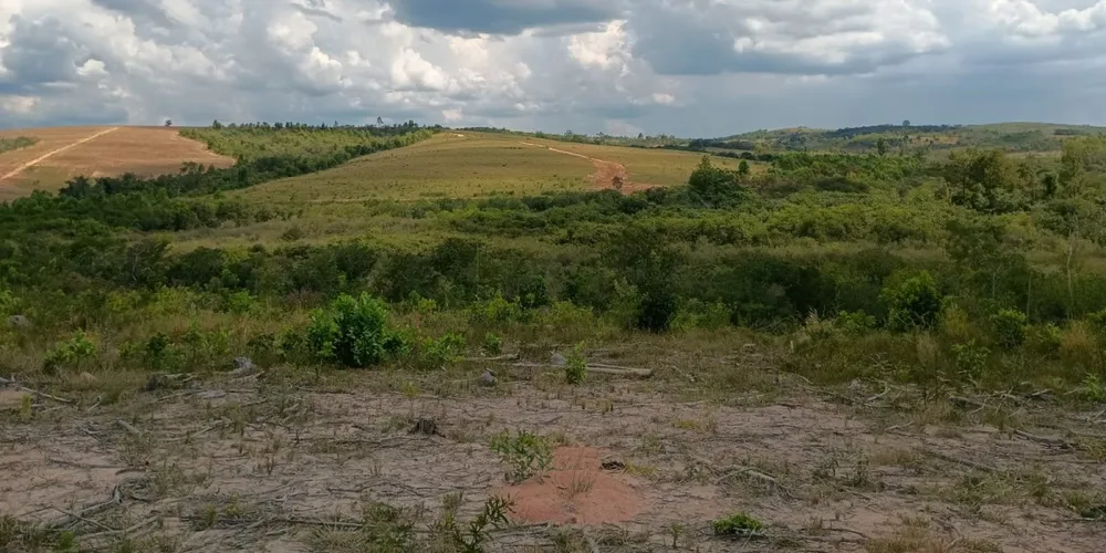 Fazenda, 1000 hectares - Foto 8