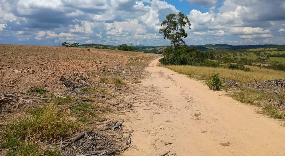 Fazenda, 1000 hectares - Foto 16