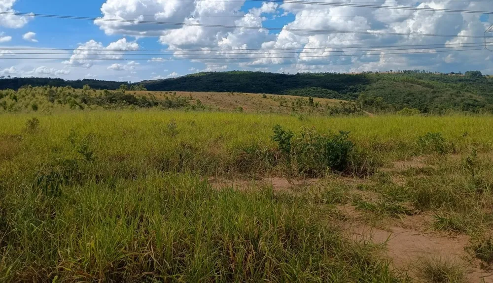 Fazenda, 1000 hectares - Foto 3