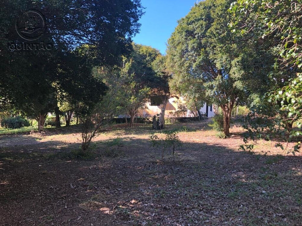 Sítio para alugar com 1 quarto - Foto 3