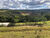 Sítio, 1 quarto - Foto 5