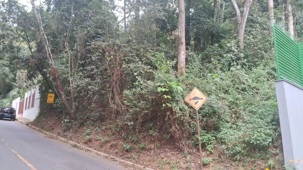 Terreno - Foto 1
