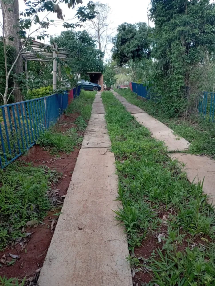 Sítio, 3 quartos, 3000 m² - Foto 5