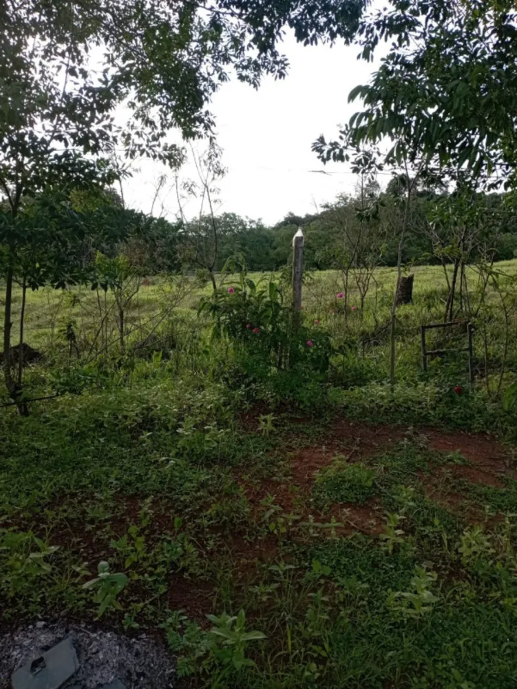 Sítio, 3 quartos, 3000 m² - Foto 6