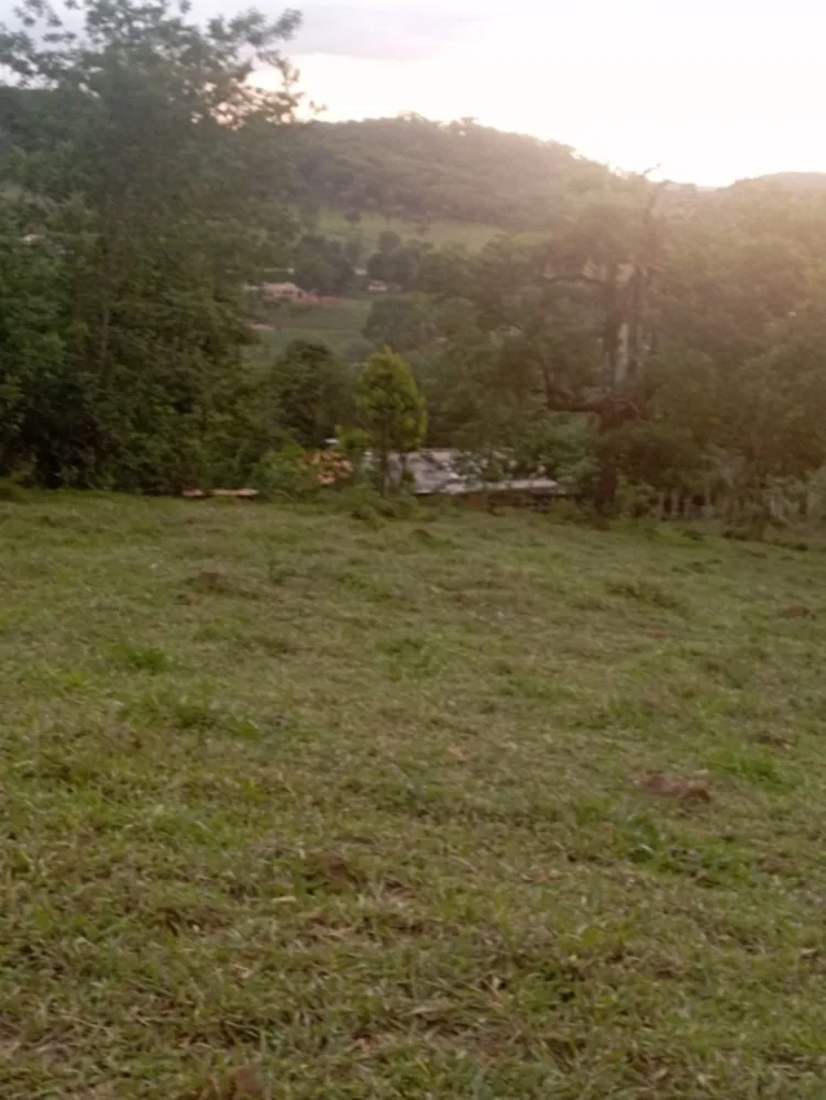 Sítio, 3 quartos, 3000 m² - Foto 2