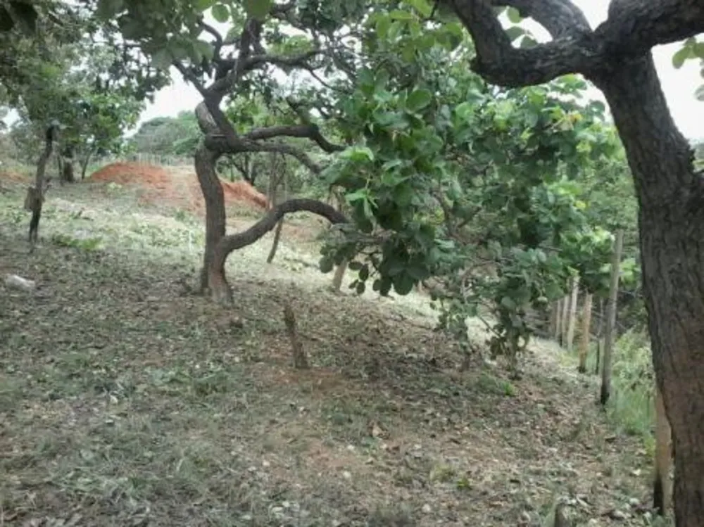 Terreno, 1150 m² - Foto 5