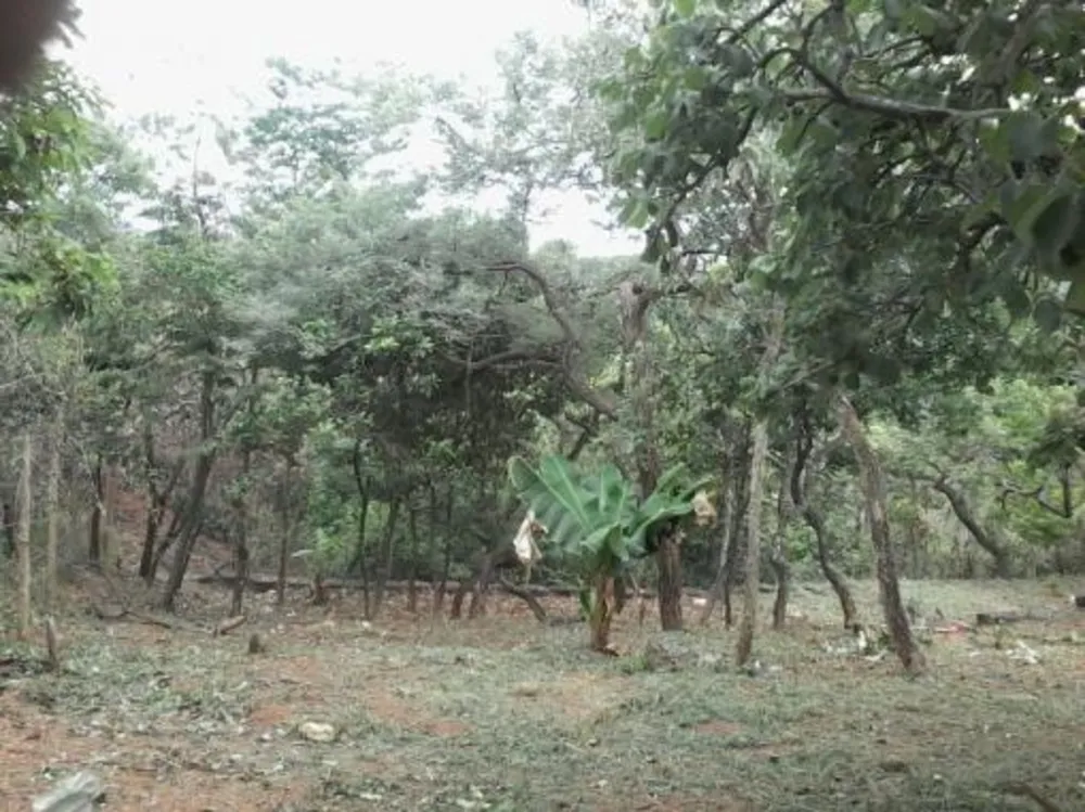 Terreno, 1150 m² - Foto 3