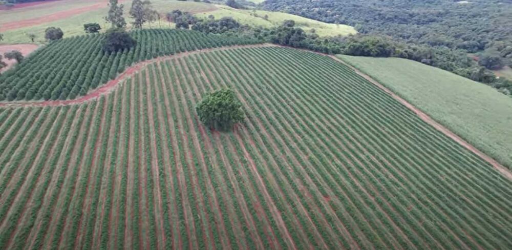Fazenda à venda com 4 quartos, 1360000m² - Foto 7