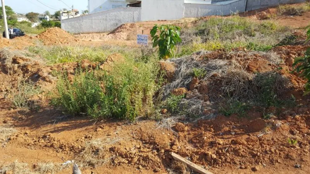 Terreno, 849 m² - Foto 3