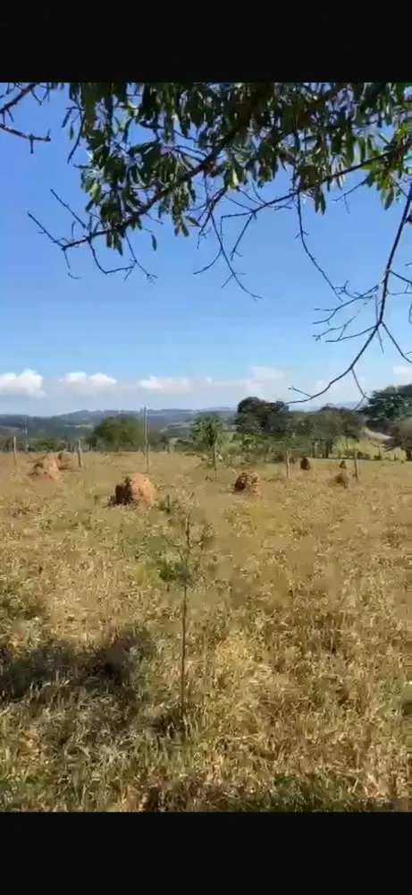 Terreno, 3000 m² - Foto 1