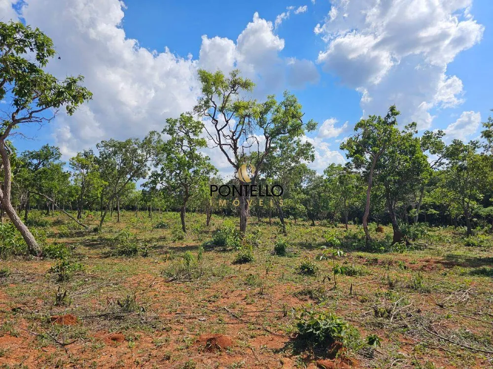 Terreno, 4 hectares - Foto 7