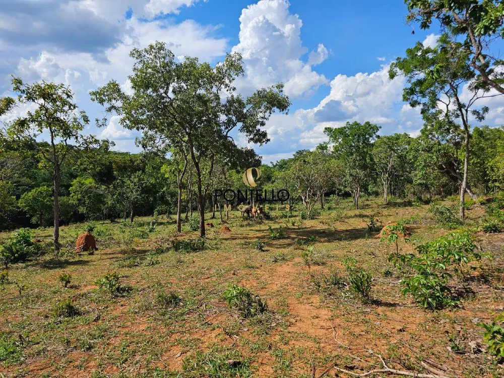 Terreno, 4 hectares - Foto 10