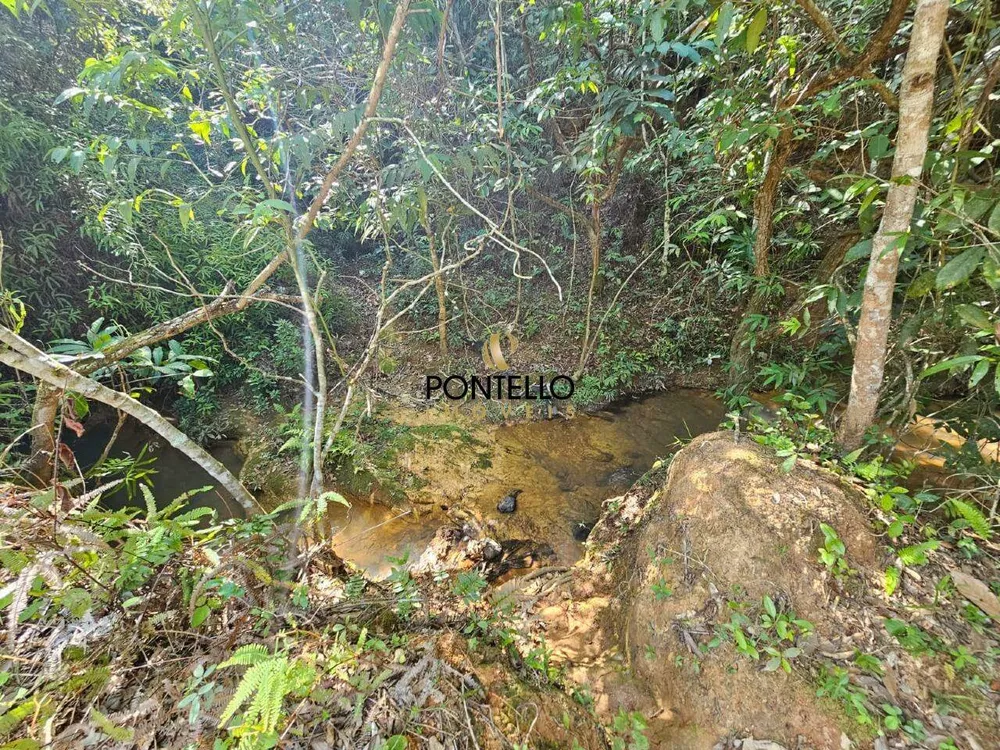 Terreno, 4 hectares - Foto 12