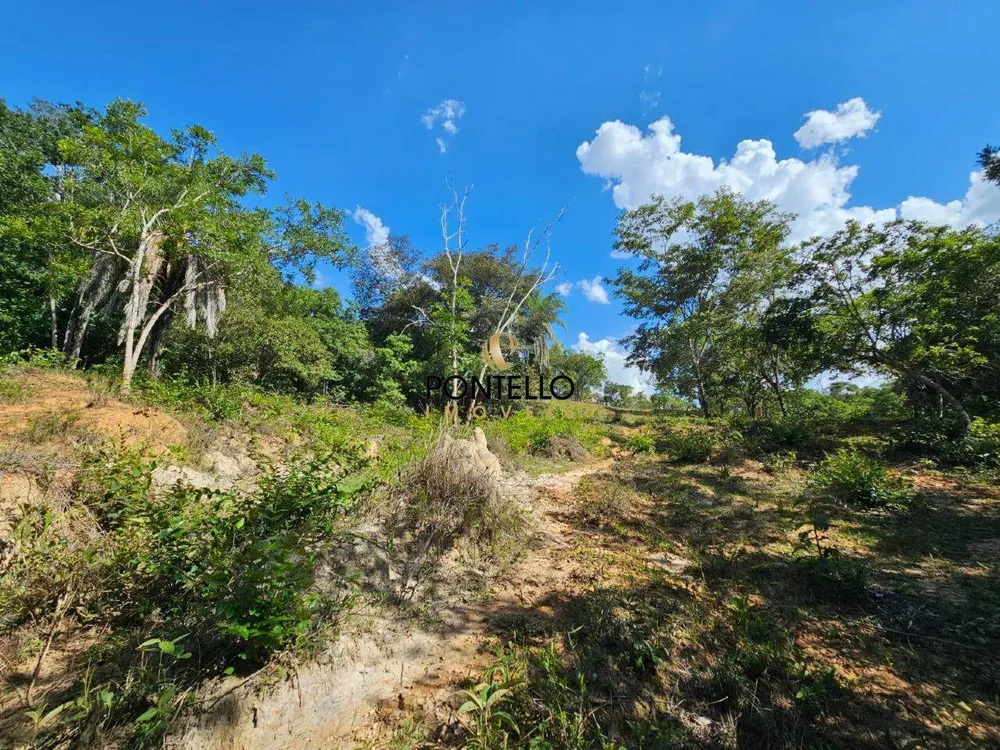 Terreno, 4 hectares - Foto 11