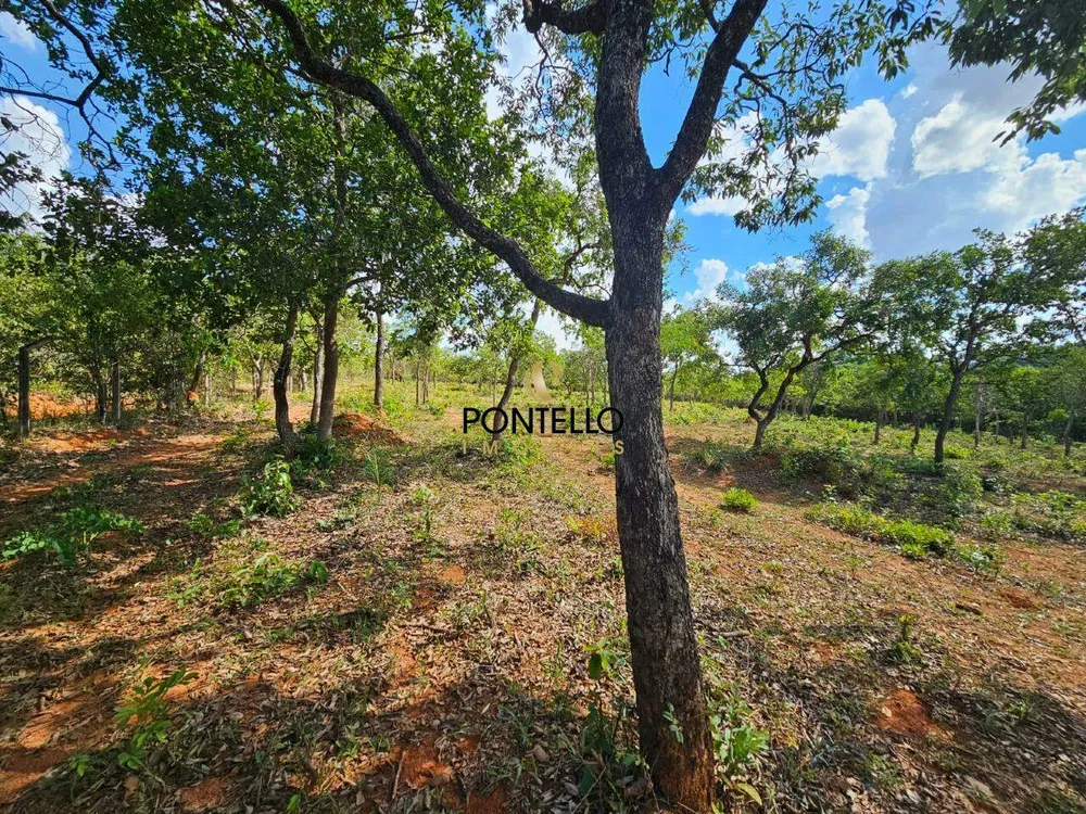 Terreno, 4 hectares - Foto 12