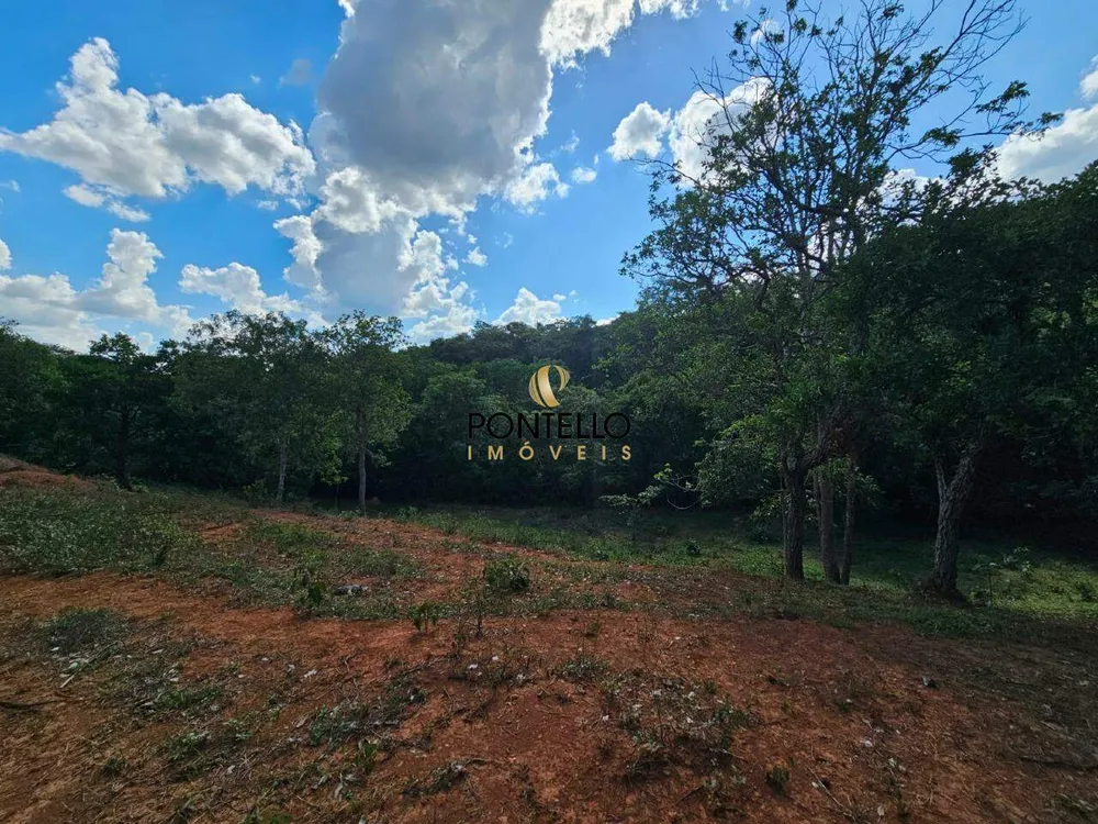 Terreno, 4 hectares - Foto 6