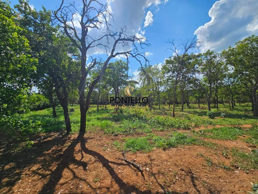 Terreno, 4 hectares - Foto 9