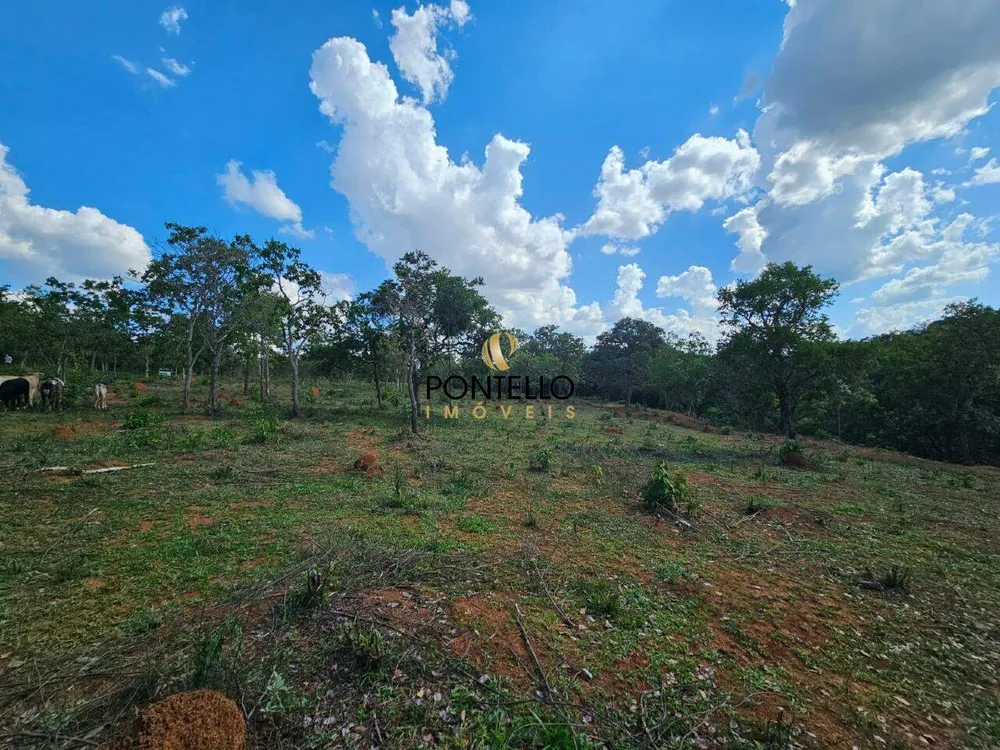 Terreno, 4 hectares - Foto 8