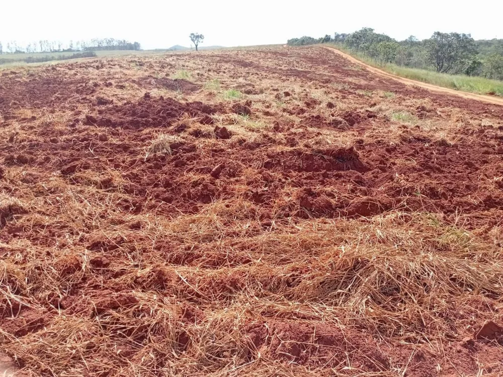 Fazenda, 1 quarto - Foto 6