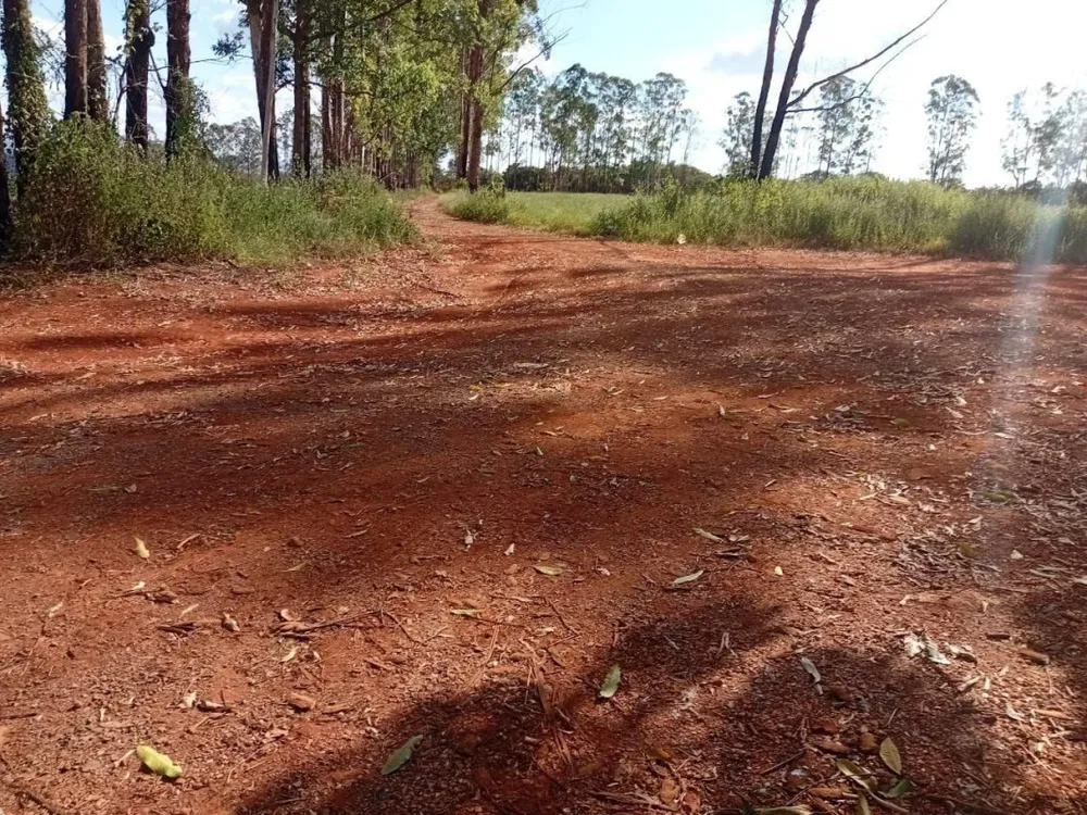 Fazenda, 1 quarto - Foto 4