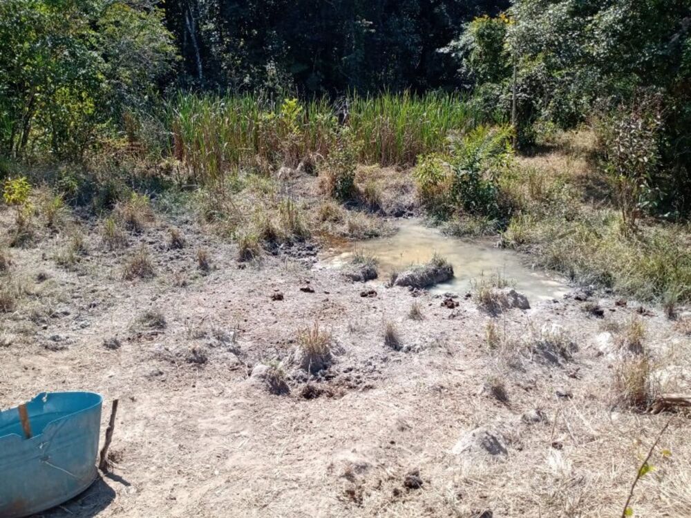 Terreno à venda, 60000m² - Foto 7