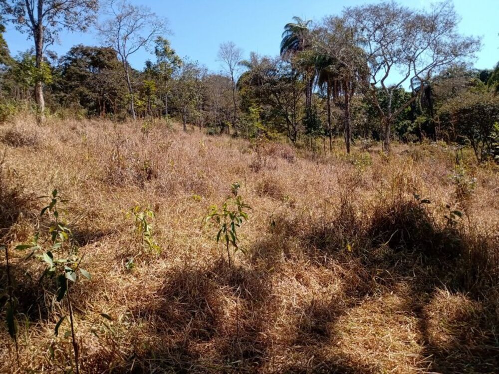 Terreno à venda, 60000m² - Foto 6