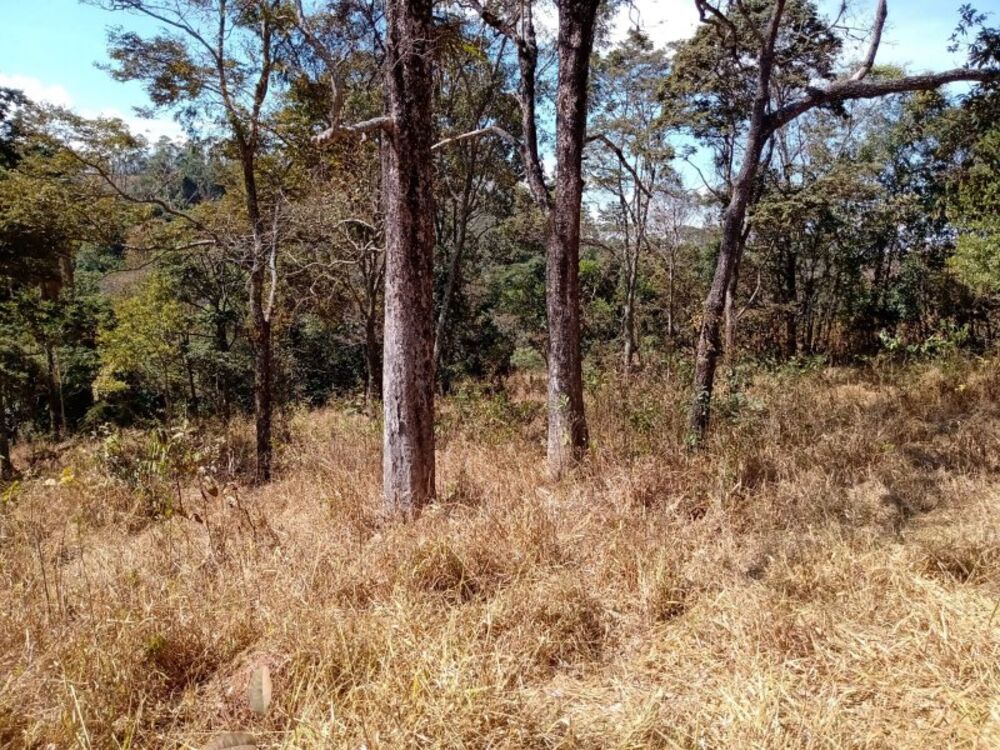 Terreno à venda, 60000m² - Foto 4