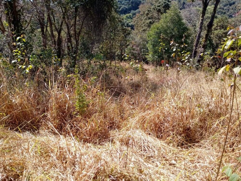 Terreno à venda, 60000m² - Foto 8