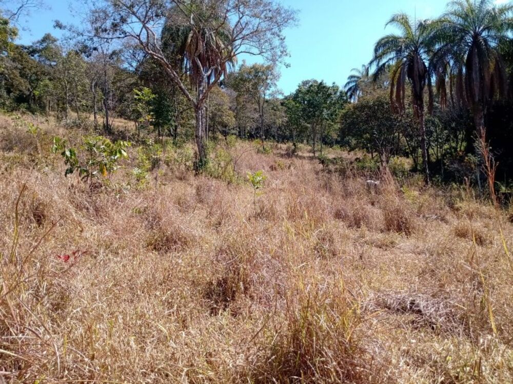 Terreno à venda, 60000m² - Foto 5