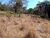 Terreno, 60000 m² - Foto 5