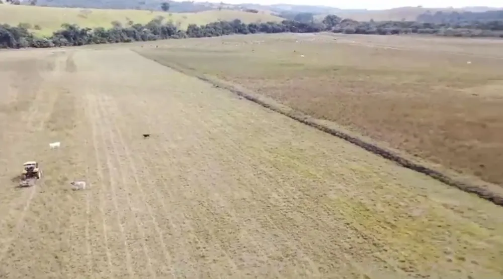 Fazenda, 110 hectares - Foto 8