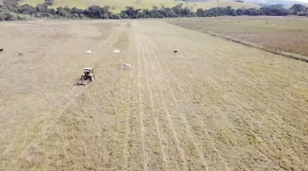 Fazenda, 110 hectares - Foto 6
