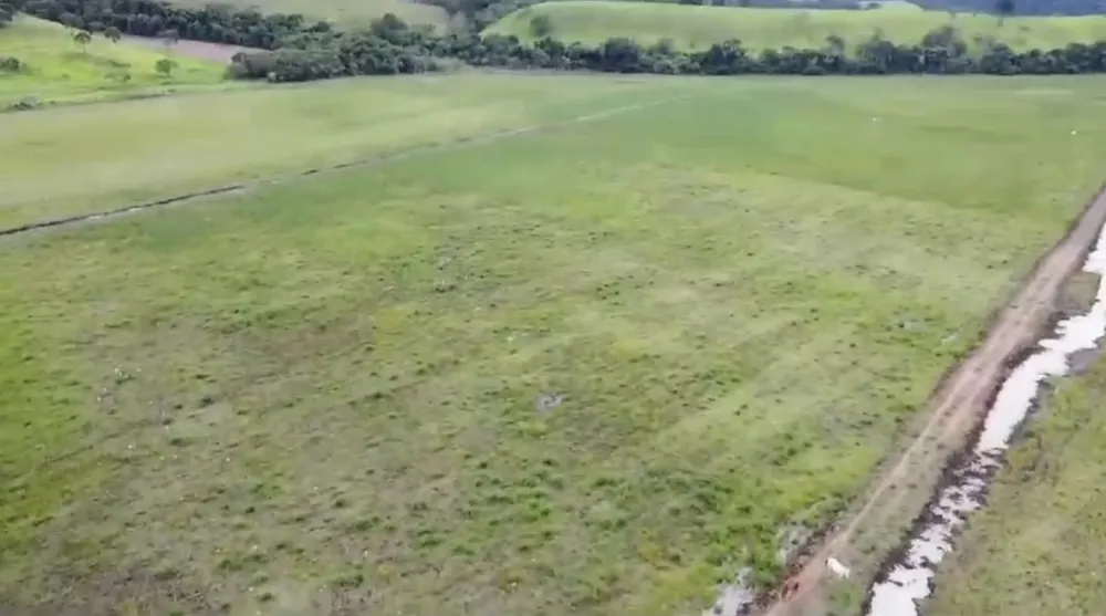 Fazenda, 110 hectares - Foto 4