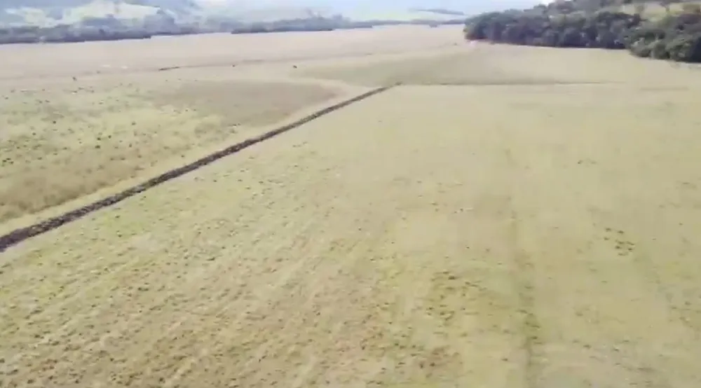 Fazenda, 110 hectares - Foto 1