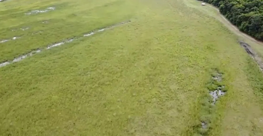 Fazenda, 110 hectares - Foto 7